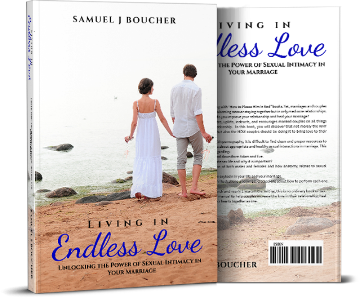 Living in Endless Love book